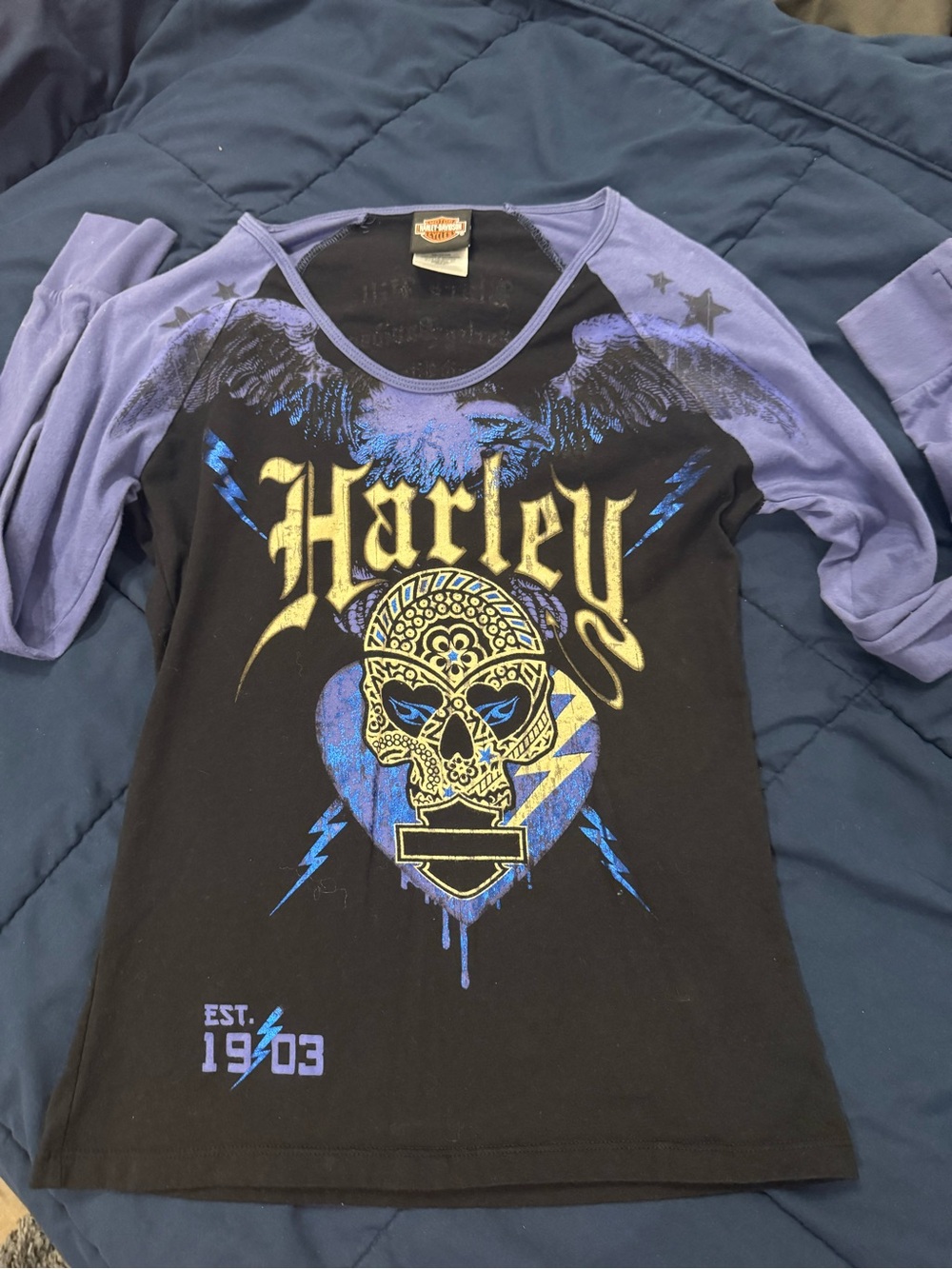 Harley-Davidson Black & Purple Girls' Graphic Raglan Tee